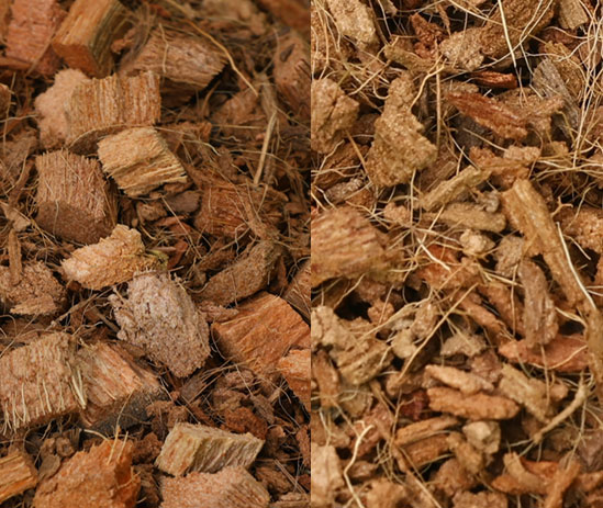 Coco coir Bales