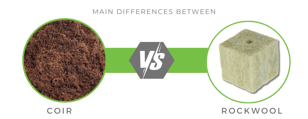 PELEMIX COIR GROW CUBES VS ROCKWOOL