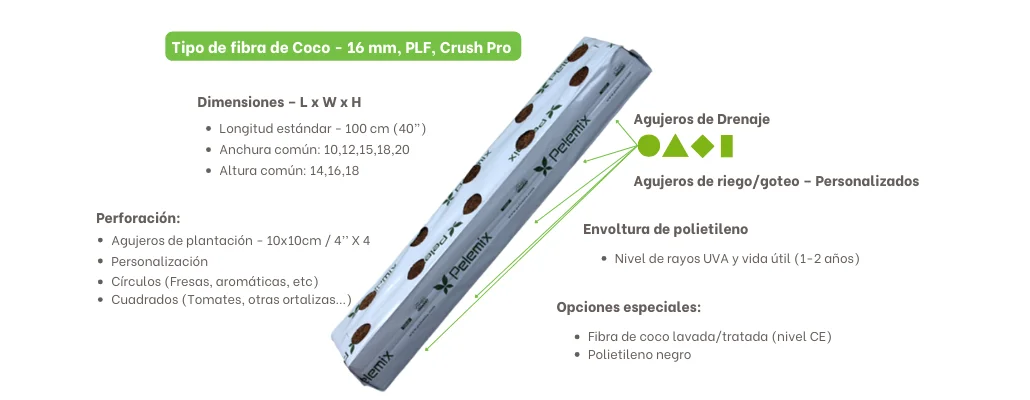 REVOLUCIONA EL CULTIVO DE FRESAS5