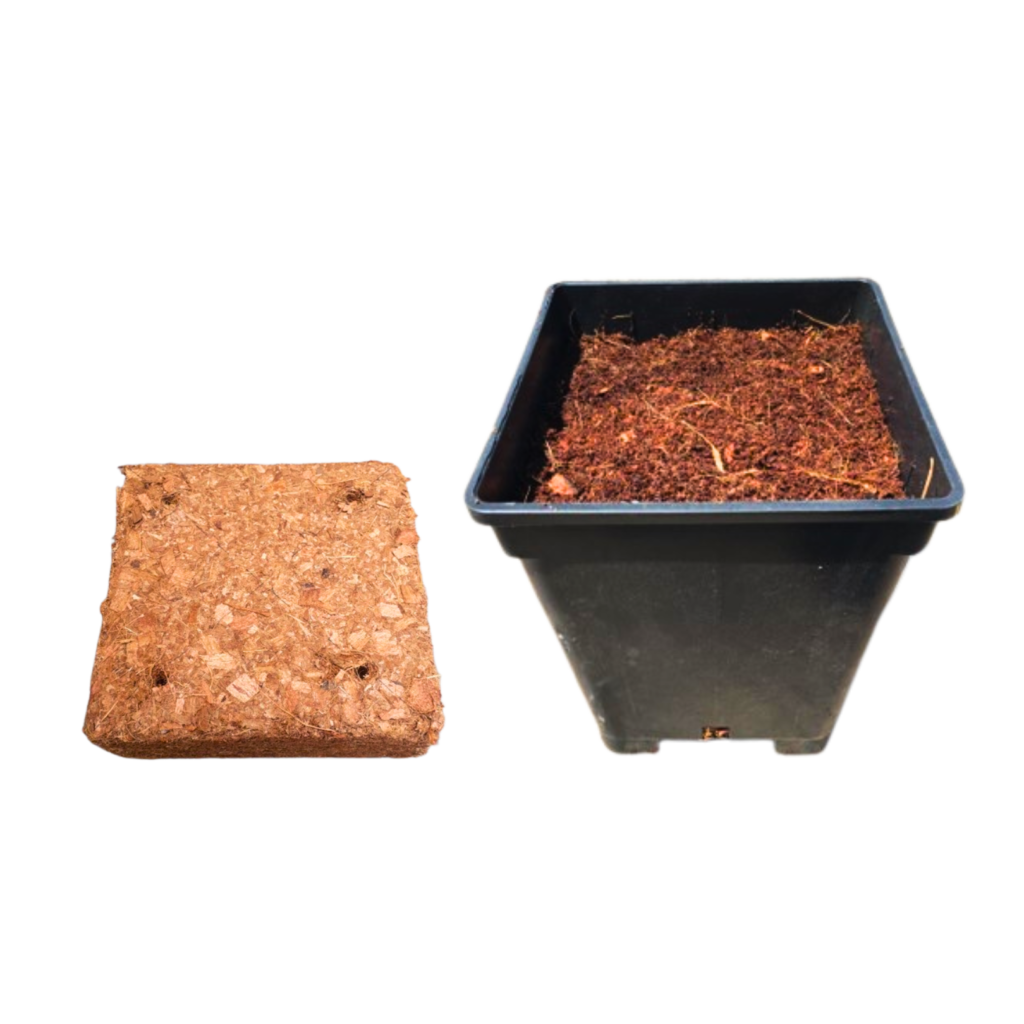 To Pot Fit to Pot | Pelemix